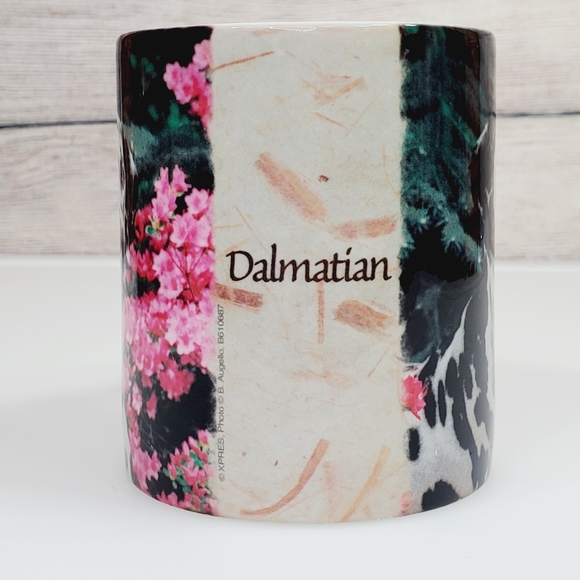🎁Dalmation coffee mug - Picture 4 of 7
